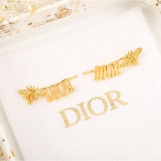 Christian Dior Earrings